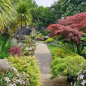 Tropical Garden Oasis Birmingham